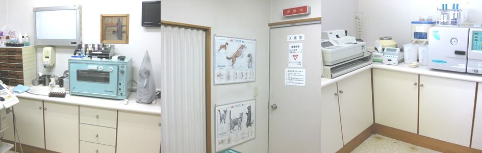 三島市動物病院